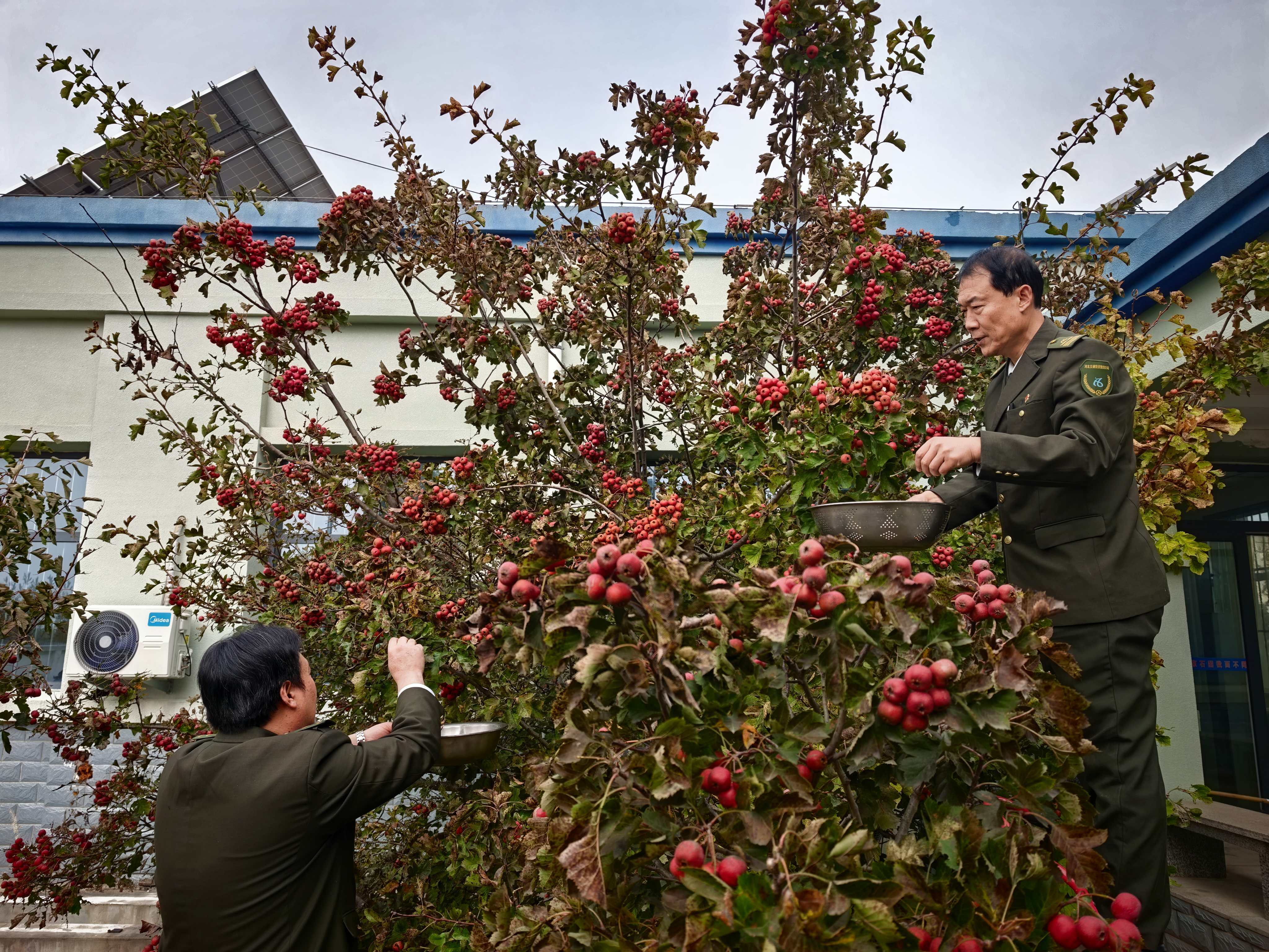 8ff4d06daef14ab98145b27af0219794.jpg 8ff4d06daef14ab98145b27af0219794.jpg